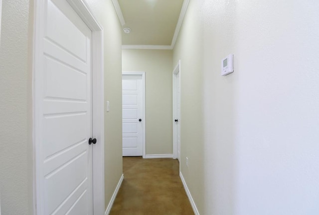 hallway featuring carpet flooring and ornamental molding