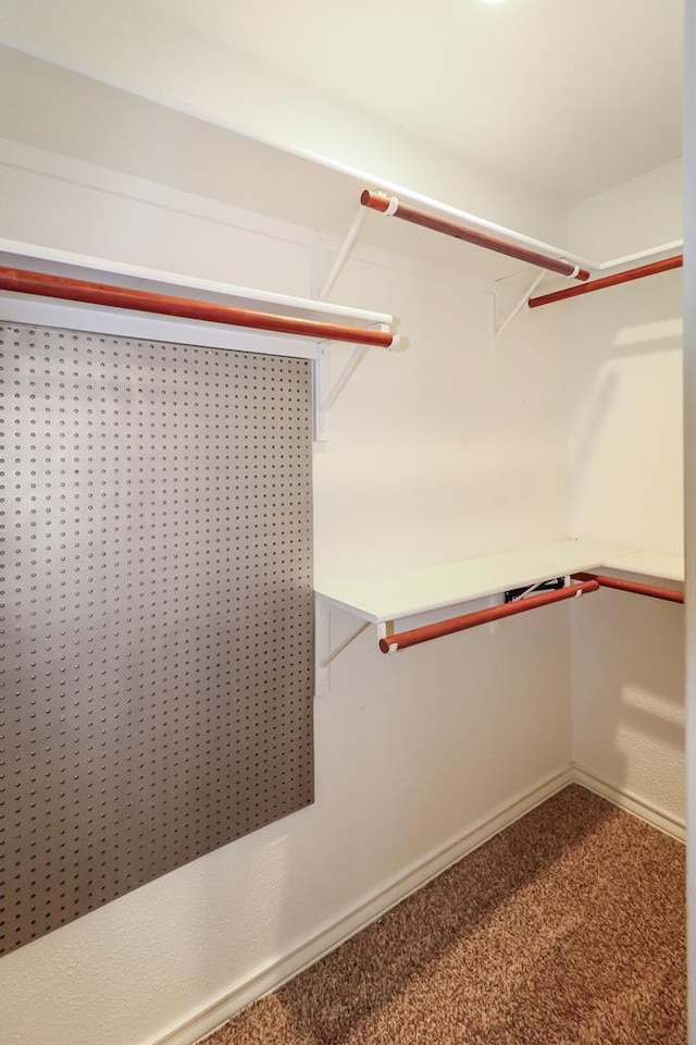 spacious closet with carpet flooring