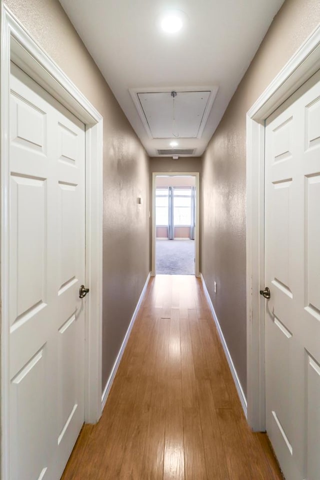 hallway featuring hardwood / wood-style flooring