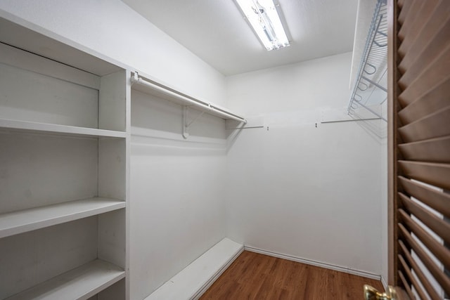 spacious closet featuring dark wood-type flooring