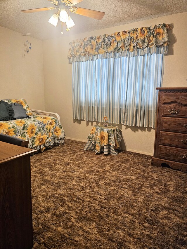 2887 County Rd 307, Colorado City, TX 79512 - photo 17