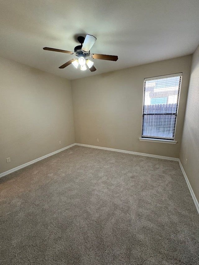 spare room with carpet