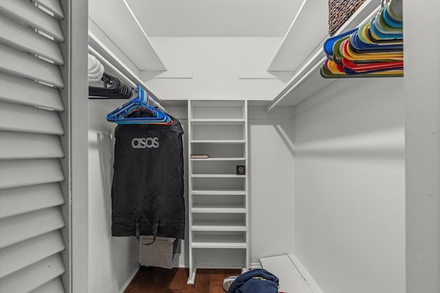 spacious closet featuring dark hardwood / wood-style floors