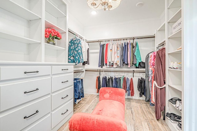 walk in closet featuring light hardwood / wood-style floors