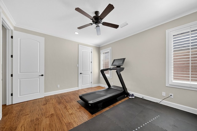 1102 Silverton Dr, Midland, TX 79705 - exercise area featuring ornamental molding, wood finished floors, plenty of natural light, and a ceiling fan