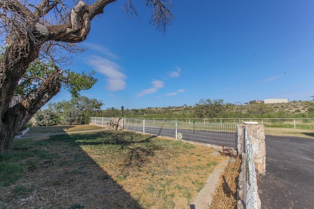 view of yard with a rural view