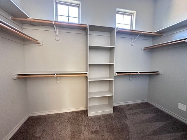3210 Fordham Ave, Big Spring, TX 79720 - spacious closet featuring carpet floors