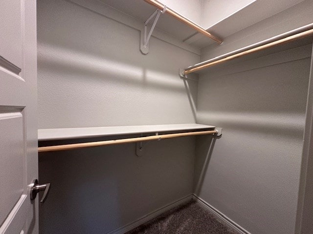 3210 Fordham Ave, Big Spring, TX 79720 - spacious closet with dark carpet