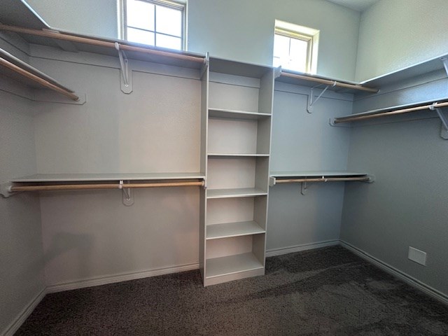 3210 Fordham Ave, Big Spring, TX 79720 - walk in closet with carpet flooring