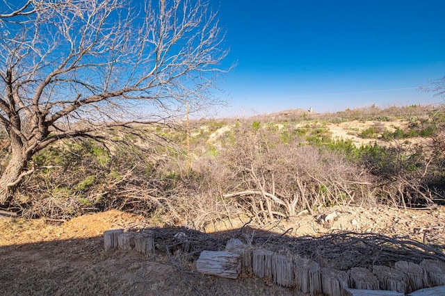 view of local wilderness