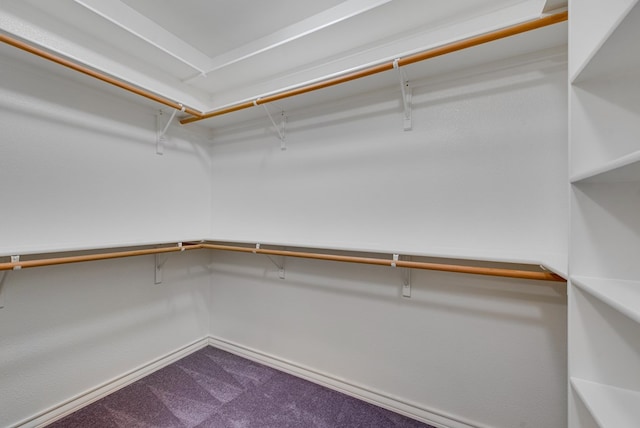 spacious closet with carpet