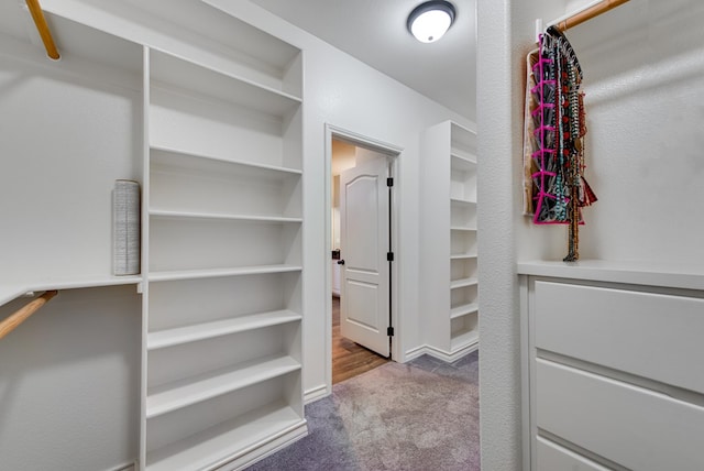 walk in closet featuring carpet