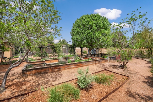view of community featuring a garden
