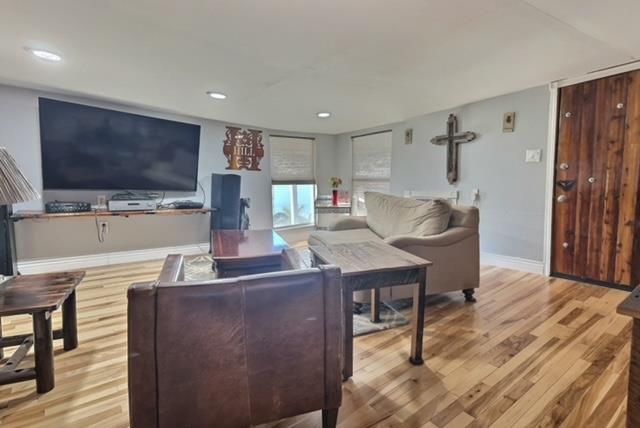 living room featuring light hardwood / wood-style flooring