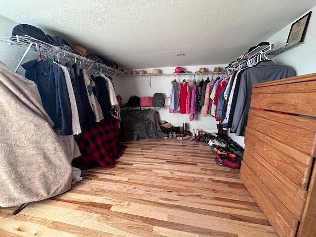 spacious closet with hardwood / wood-style flooring