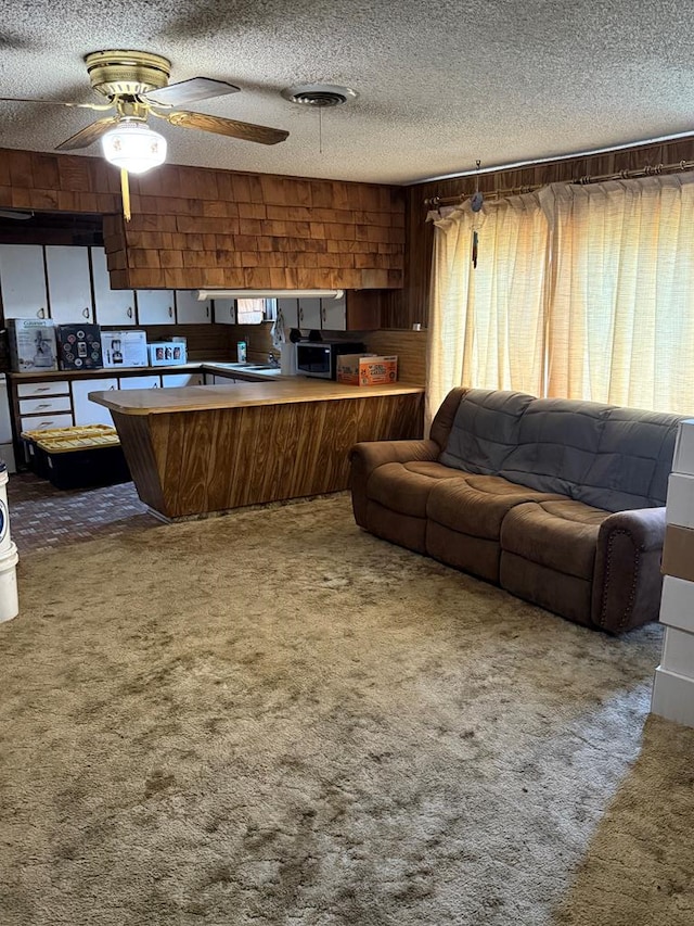 1155 Lcr 175, Colorado City, TX 79512 - photo 9