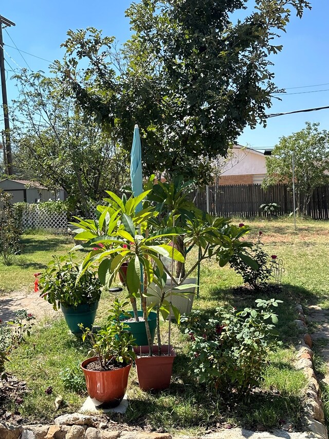 view of yard featuring fence