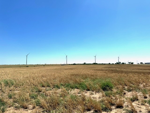 view of local wilderness featuring a rural view