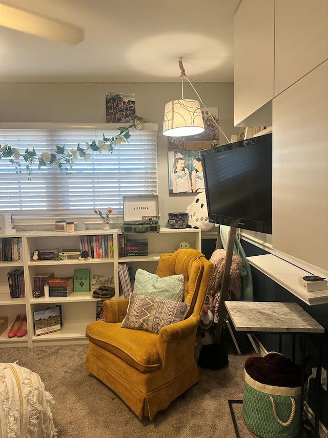 sitting room with carpet floors