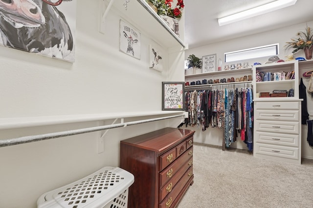 spacious closet with light colored carpet