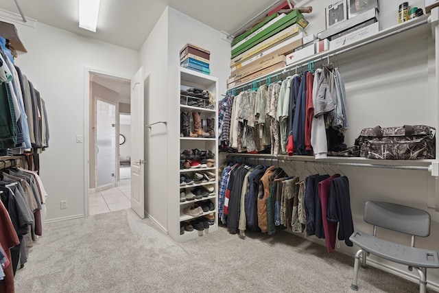 spacious closet with light carpet