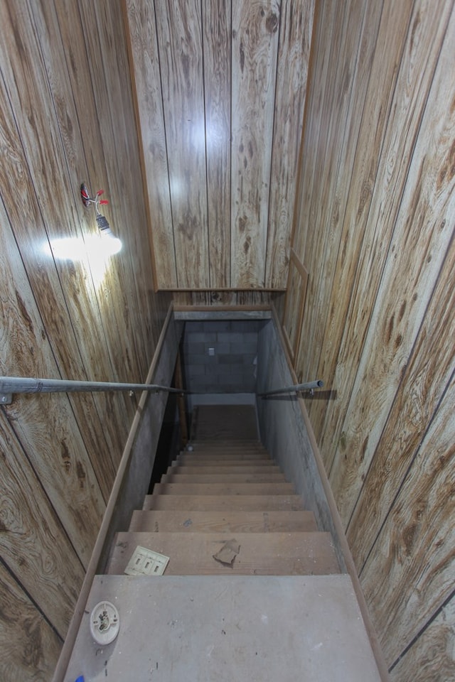 staircase with wooden walls