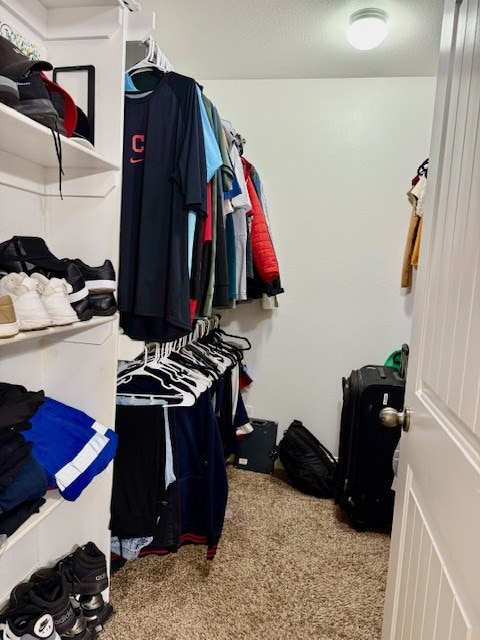 spacious closet with carpet flooring