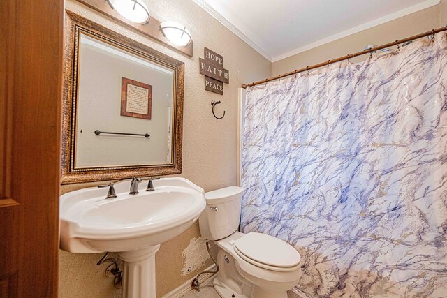 bathroom featuring toilet and ornamental molding