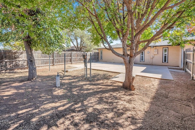 view of yard with a patio area