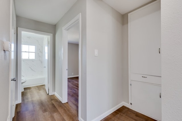 hallway featuring hardwood / wood-style flooring