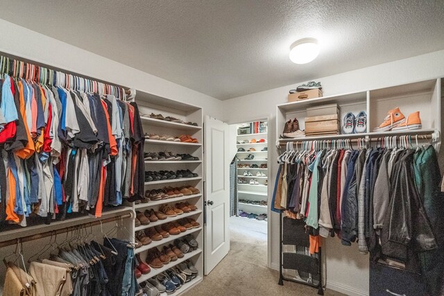 walk in closet featuring carpet floors