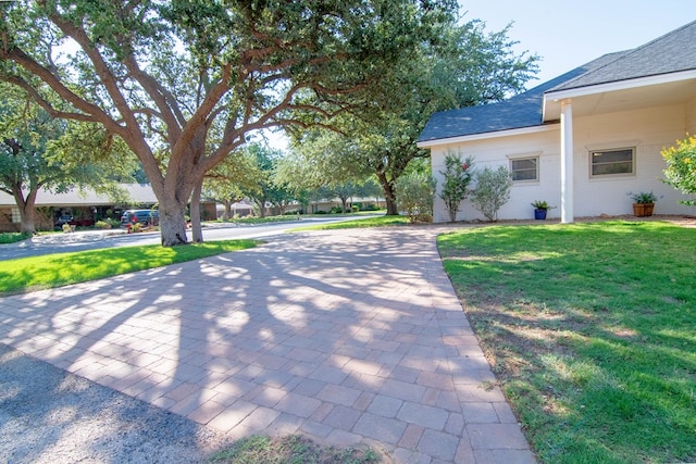4100 Skyline Dr, Midland, TX 79707 - view of green lawn