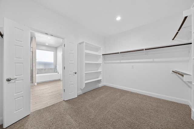 1803 Overshine Ln, Midland, TX 79705 - walk in closet with carpet flooring