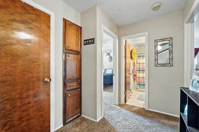3606 44th St, Snyder, TX 79549 - photo 12