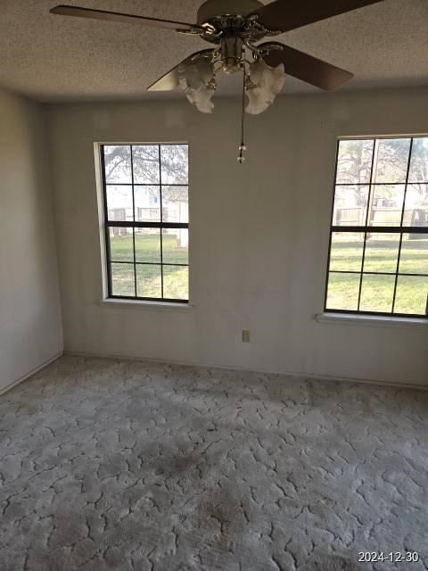 unfurnished room featuring ceiling fan, plenty of natural light, carpet floors, and a textured ceiling