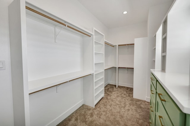 spacious closet featuring light colored carpet