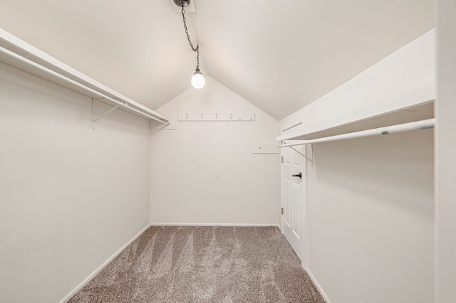 spacious closet featuring carpet and vaulted ceiling