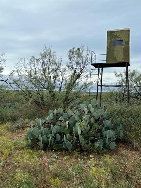 000 County Rd 343, Colorado City TX, 79512 land for sale