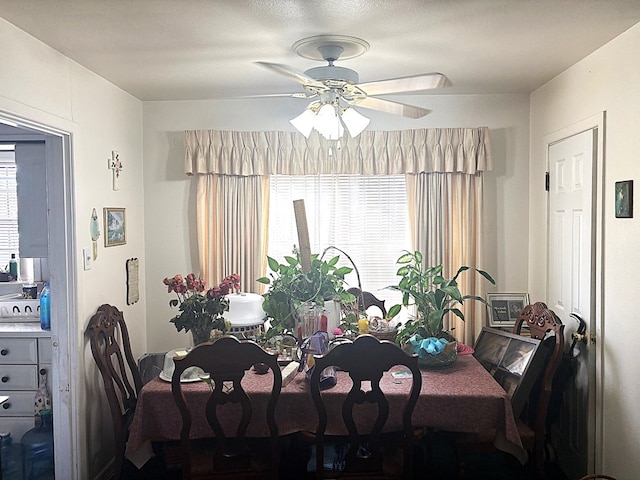 1122 E Cowden Ave, Midland, TX 79701 - dining area with a ceiling fan