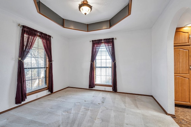 empty room featuring arched walkways, a healthy amount of sunlight, a raised ceiling, and carpet floors