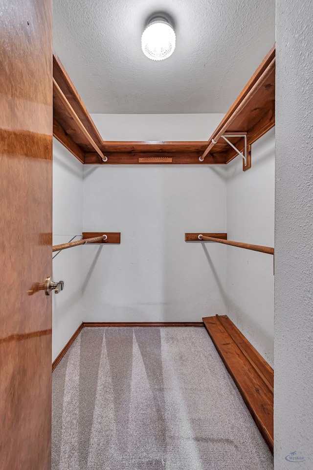 spacious closet featuring carpet flooring