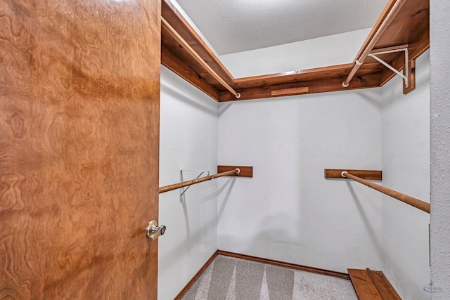 walk in closet with carpet floors