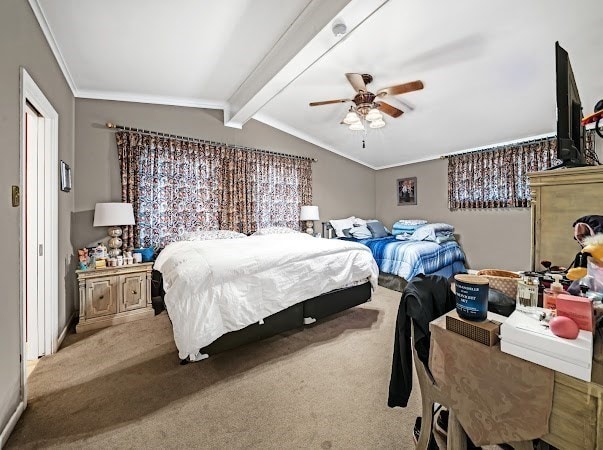 carpeted bedroom with ceiling fan, lofted ceiling with beams, and crown molding