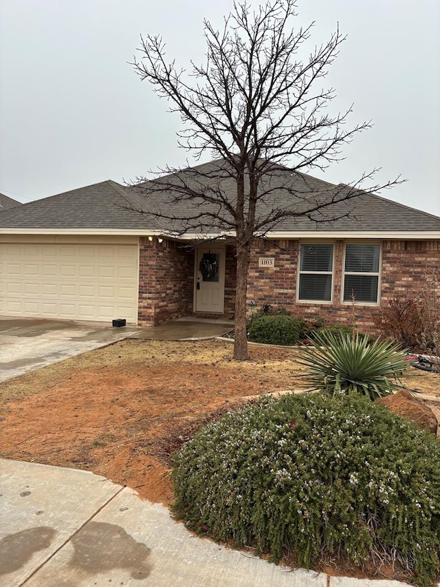 view of front facade with a garage