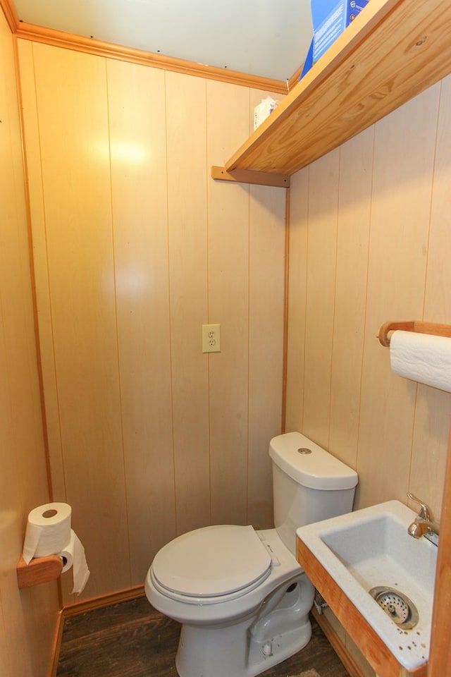 bathroom featuring a sink, toilet, and wood finished floors