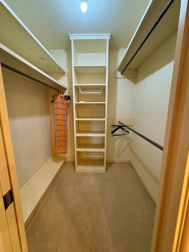 spacious closet with carpet floors