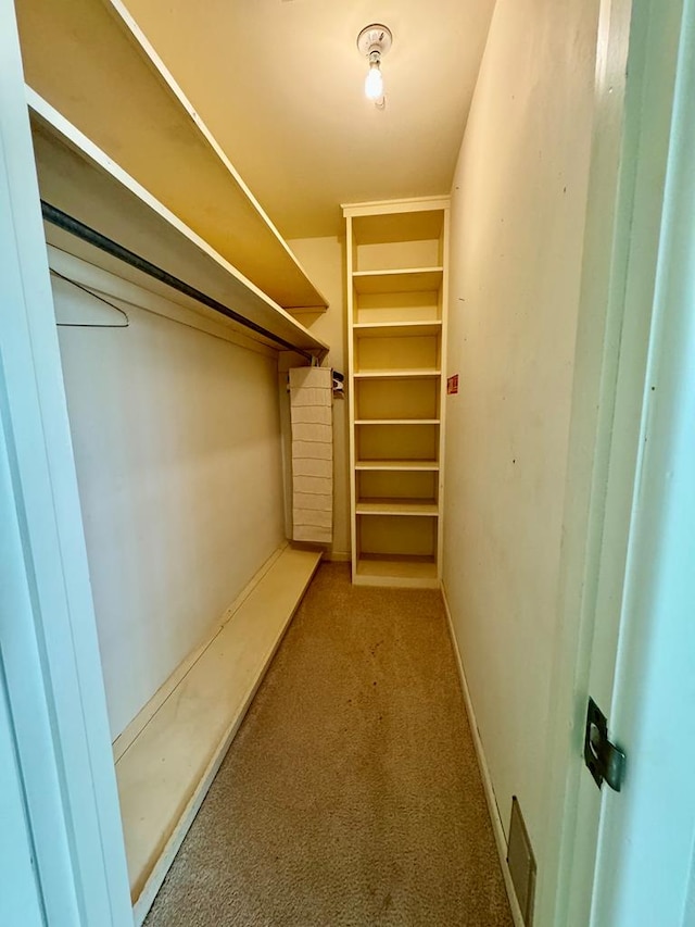 spacious closet featuring carpet floors