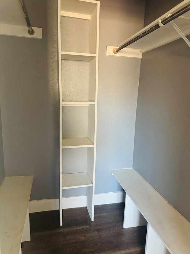 spacious closet with dark wood finished floors