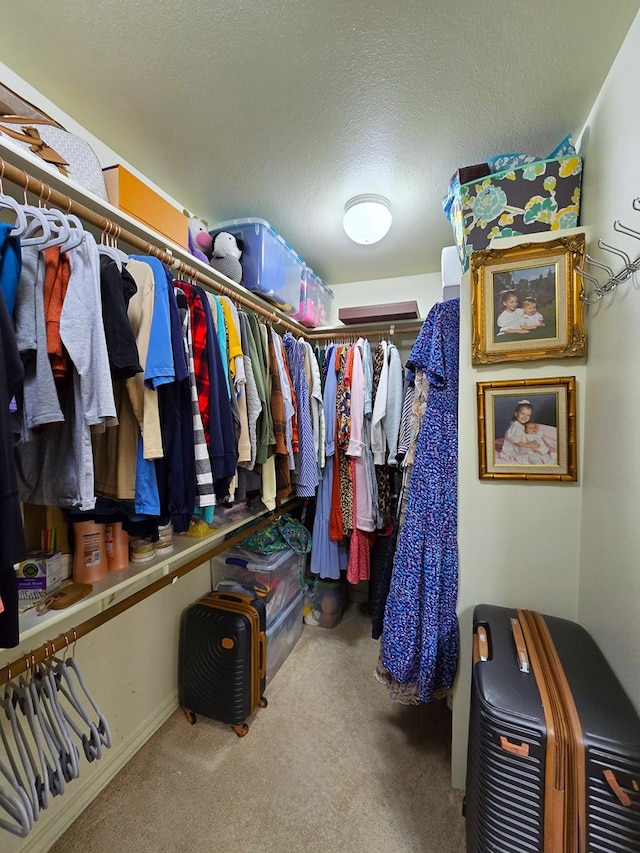 spacious closet featuring carpet floors