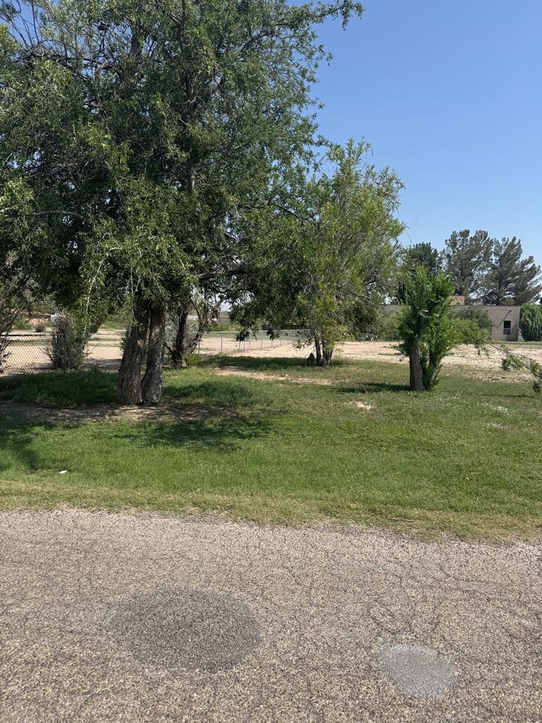 1508-3 Division St, Fort Stockton, TX 79735 - photo 1